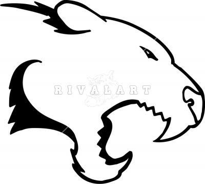 cougar paw drawing